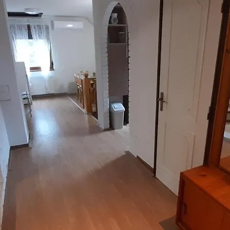 Ferienhaus Biborka Nyaralo Nagyobb Tarsasagnak