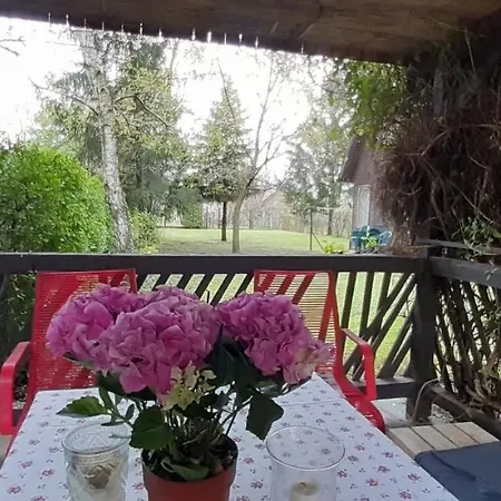 Ferienhaus Biborka Nyaralo Nagyobb Tarsasagnak