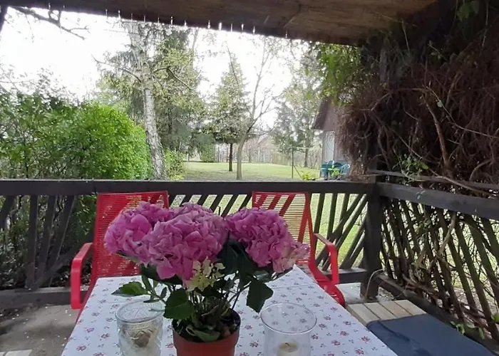 Ferienhaus Biborka Nyaralo Nagyobb Tarsasagnak