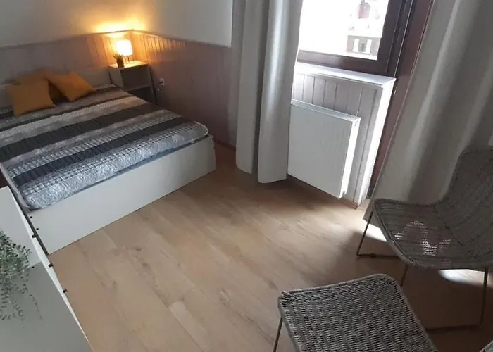 Biborka Nyaralo Nagyobb Tarsasagnak Ferienhaus *