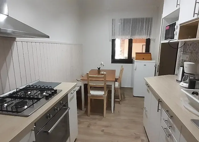Ferienhaus Biborka Nyaralo Nagyobb Tarsasagnak *